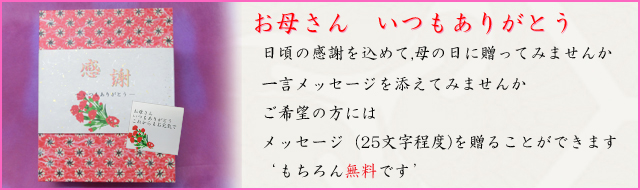 母の日メッセージのし枠